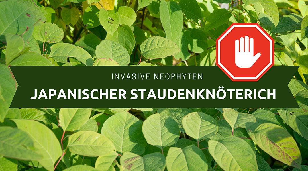 Fachberatertipps von Carmen