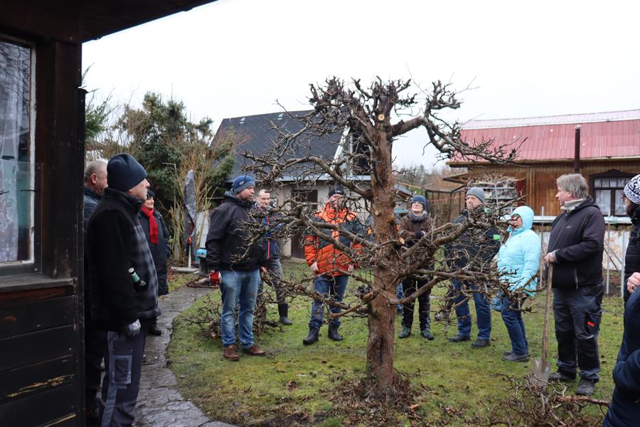 Seminar Obstbaumschnitt 2026
